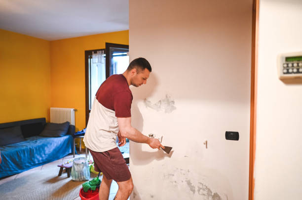 Best Office Mold Removal Services  in Safety Harbor, FL