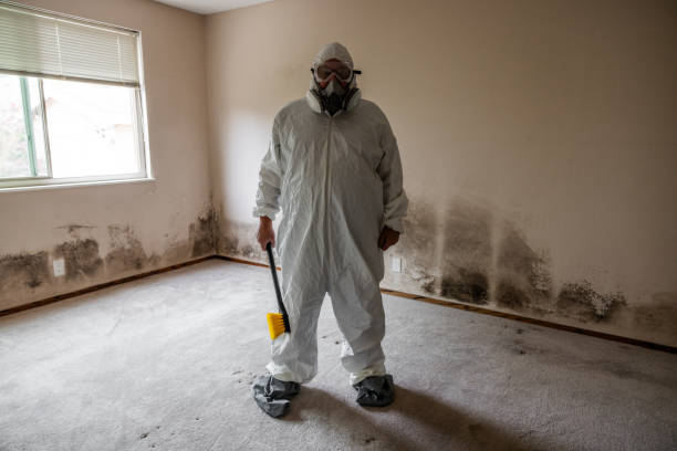 Best Crawl Space Mold Removal  in Safety Harbor, FL